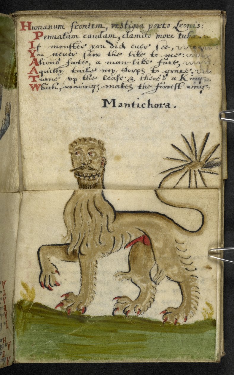 Adja hozzá az MS 57312 f.11 játékkönyvet (tinta és szín a pergamen) alkotó: English School