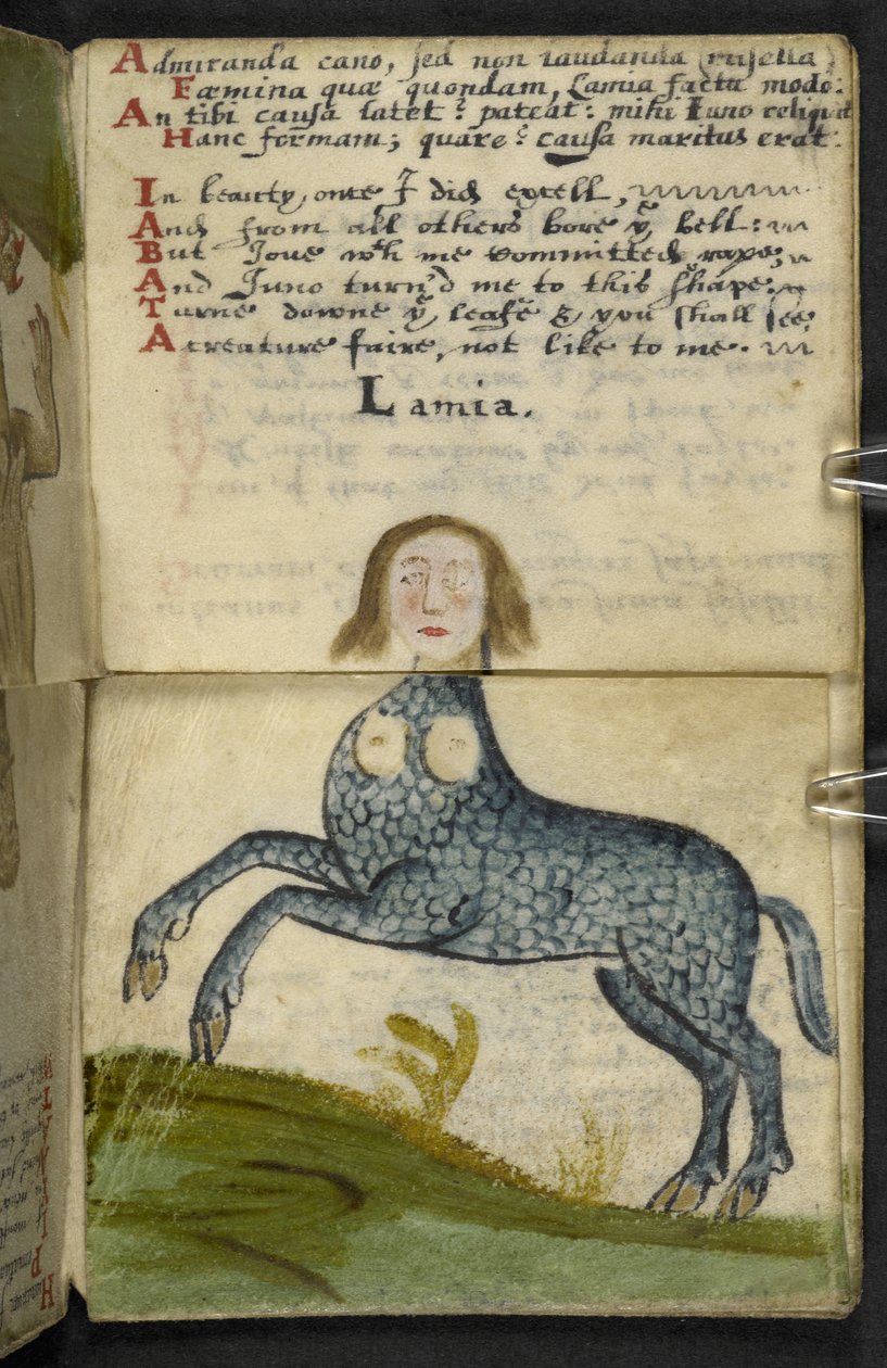 Adja hozzá az MS 57312 f13 játékkönyvet (tinta és szín a pergamen) alkotó: English School
