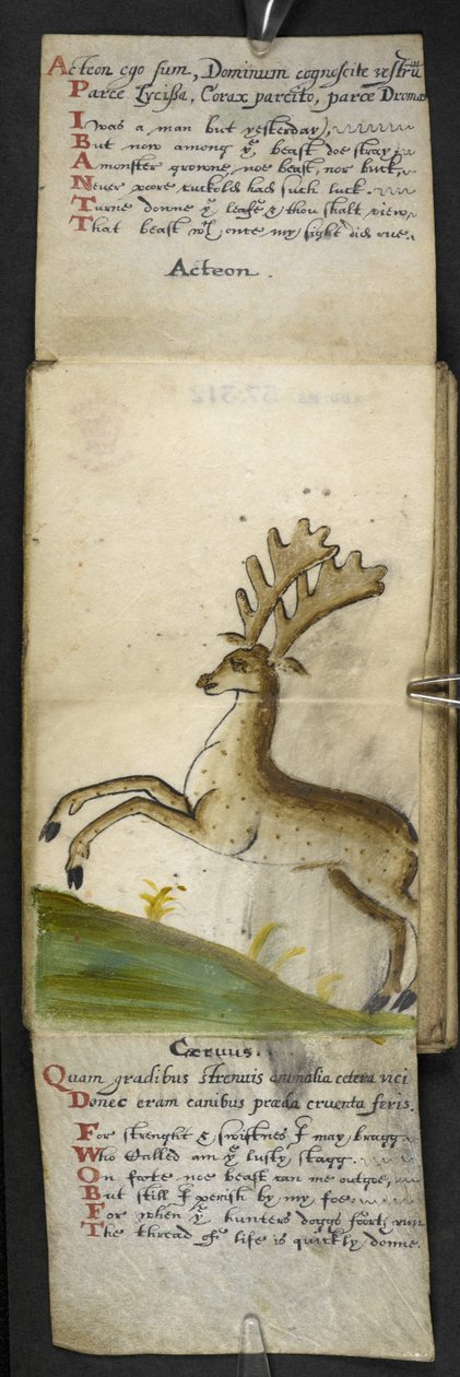 Adja hozzá az MS 57312 f.15 játékkönyvet (tinta és színes pergamen) alkotó: English School