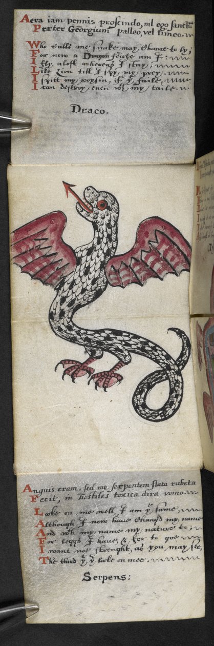 Adja hozzá az MS 57312 f.3 játékkönyvet (tinta és szín a pergamen) alkotó: English School