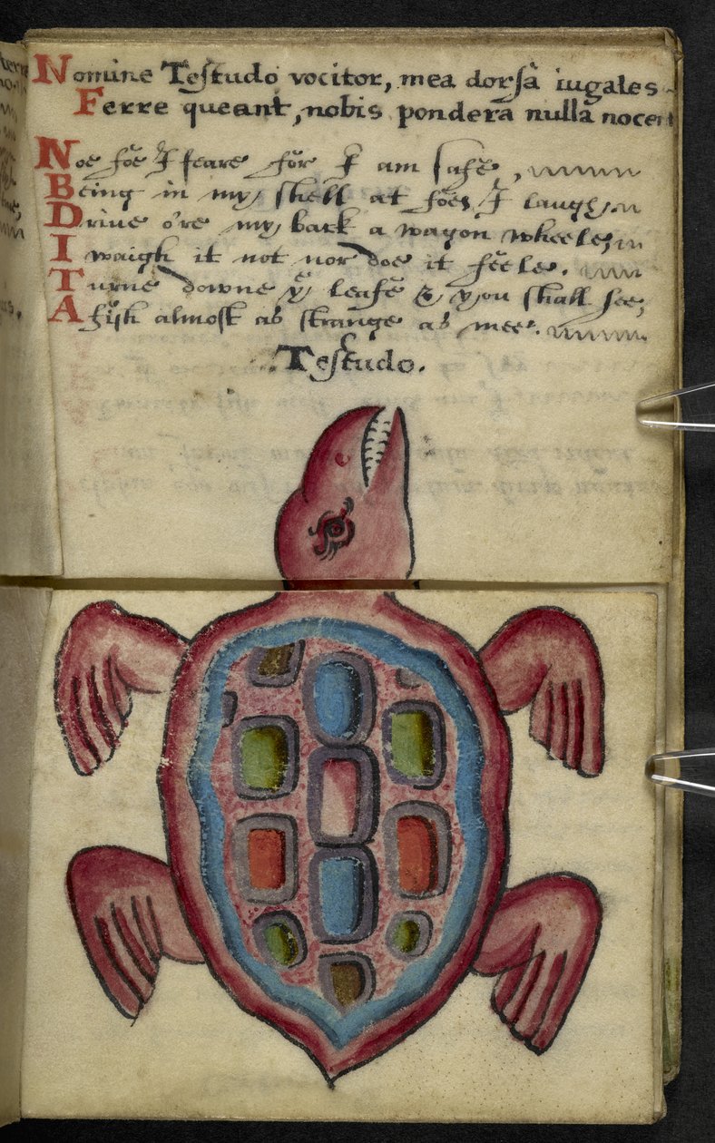 Adja hozzá az MS 57312 f.5 játékkönyvet (tinta és szín a pergamen) alkotó: English School