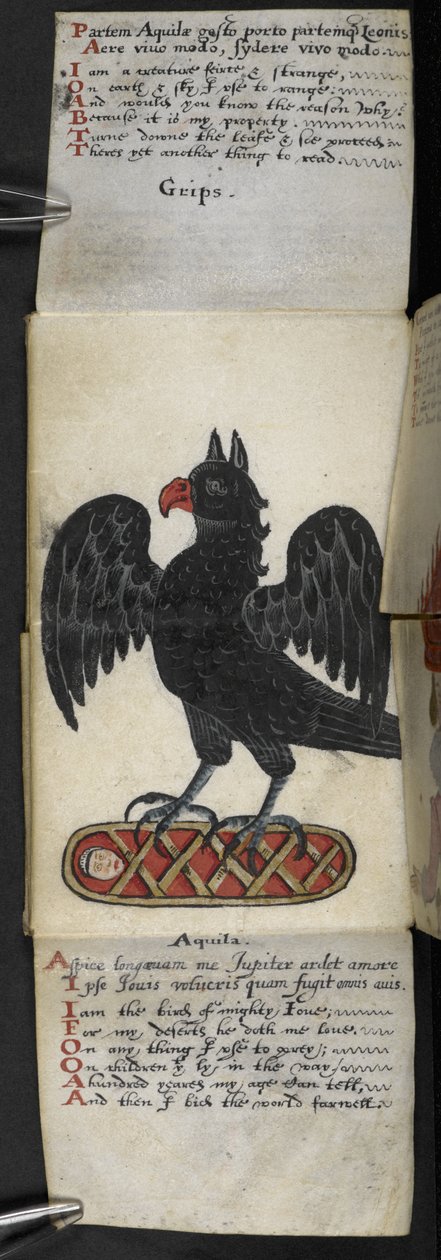 Adja hozzá az MS 57312 f.8 játékkönyvet (tinta és színes pergamen) alkotó: English School