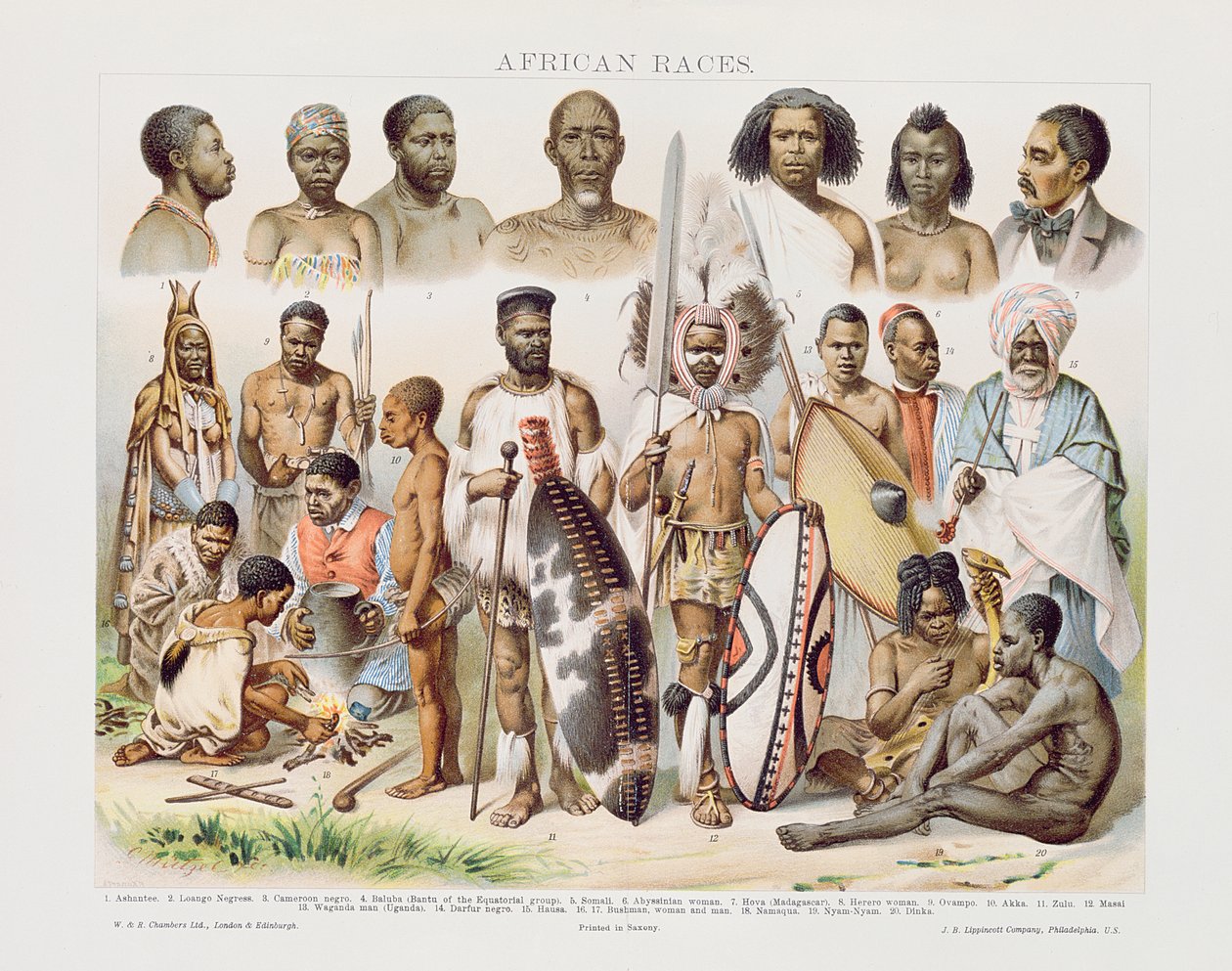 Afrikai versenyek (színes gravírozás) alkotó: English School