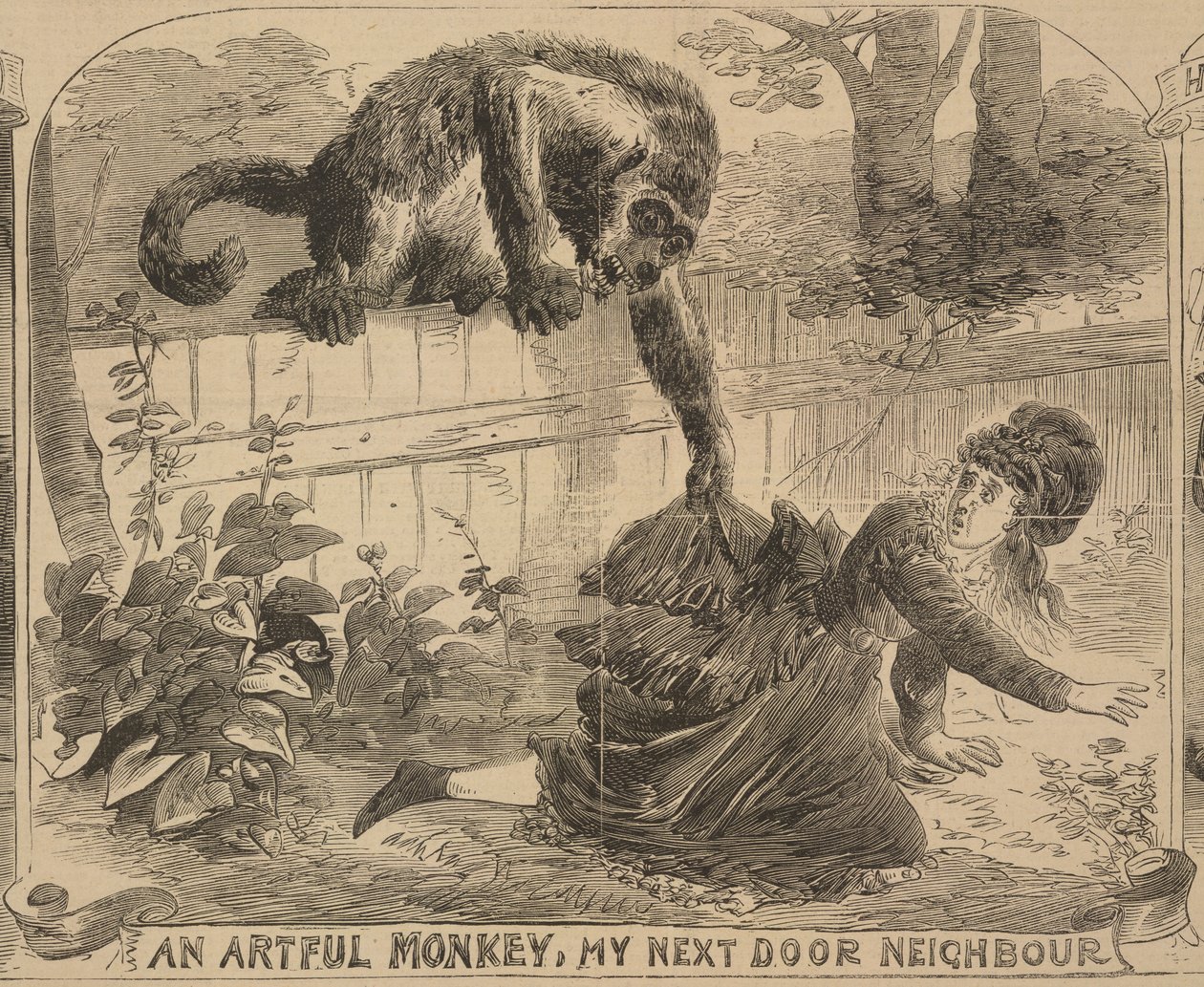 „An Artful Monkey, My Next Door Neighbour”, illusztráció az „Illustrated Police News”-ból, 1872. augusztus 24. (litho) alkotó: English School