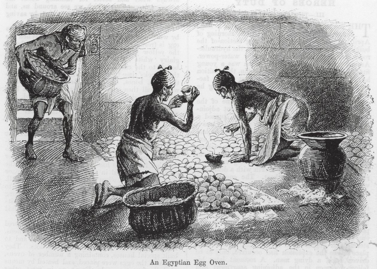 Egyiptomi tojássütő kemence (metszet) alkotó: English School