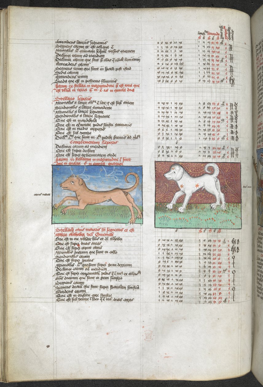 Arundel MS 66 f.44v Canis maior és Canis minor kutyaként ábrázolva 