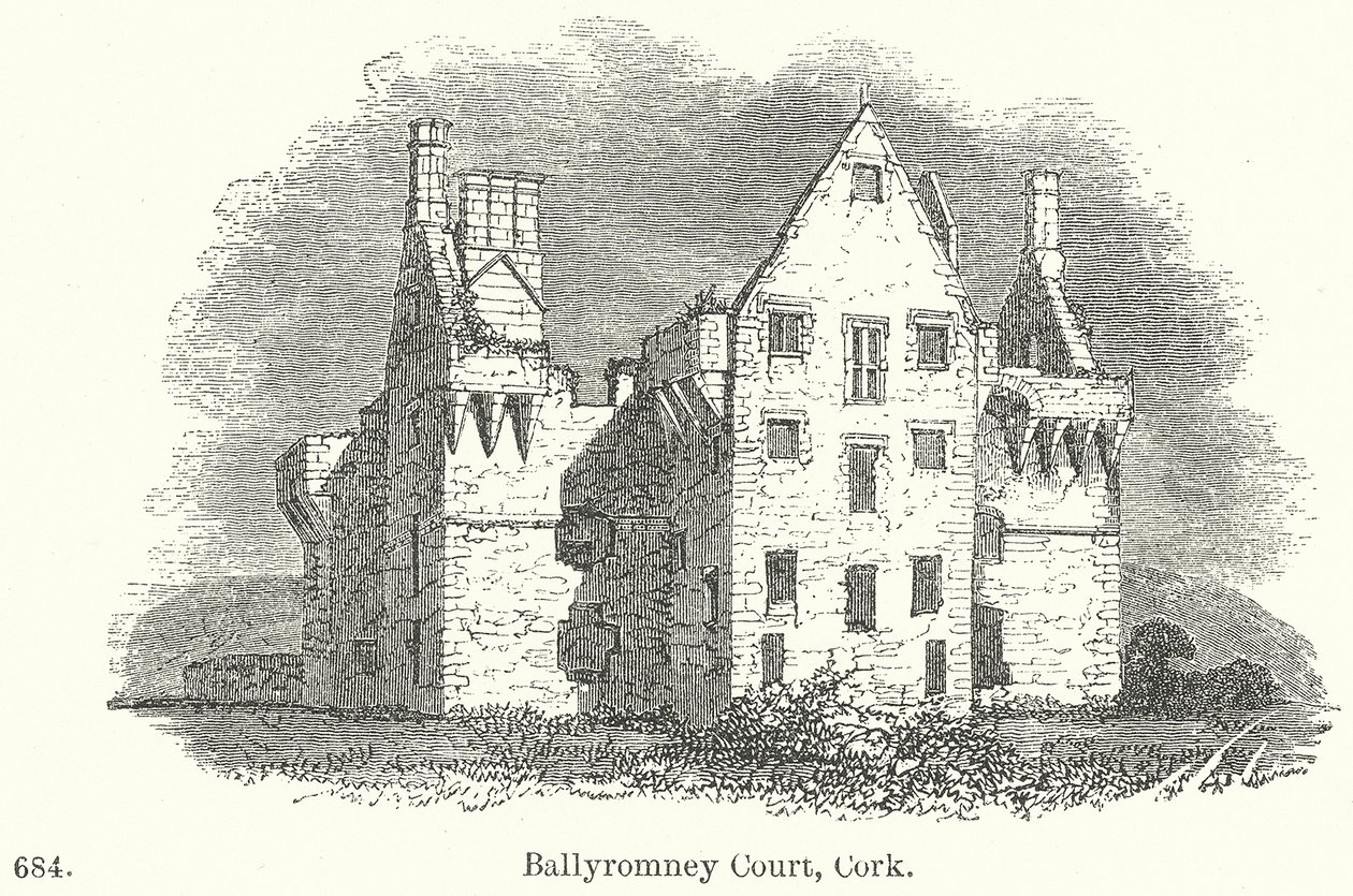 Ballyromney Court, Cork (metszet) alkotó: English School