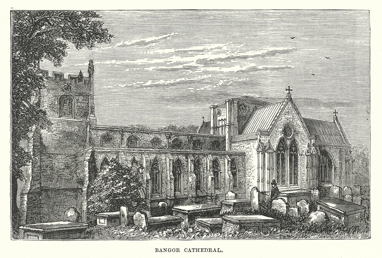 Bangor Cathedral (metszet) alkotó: English School