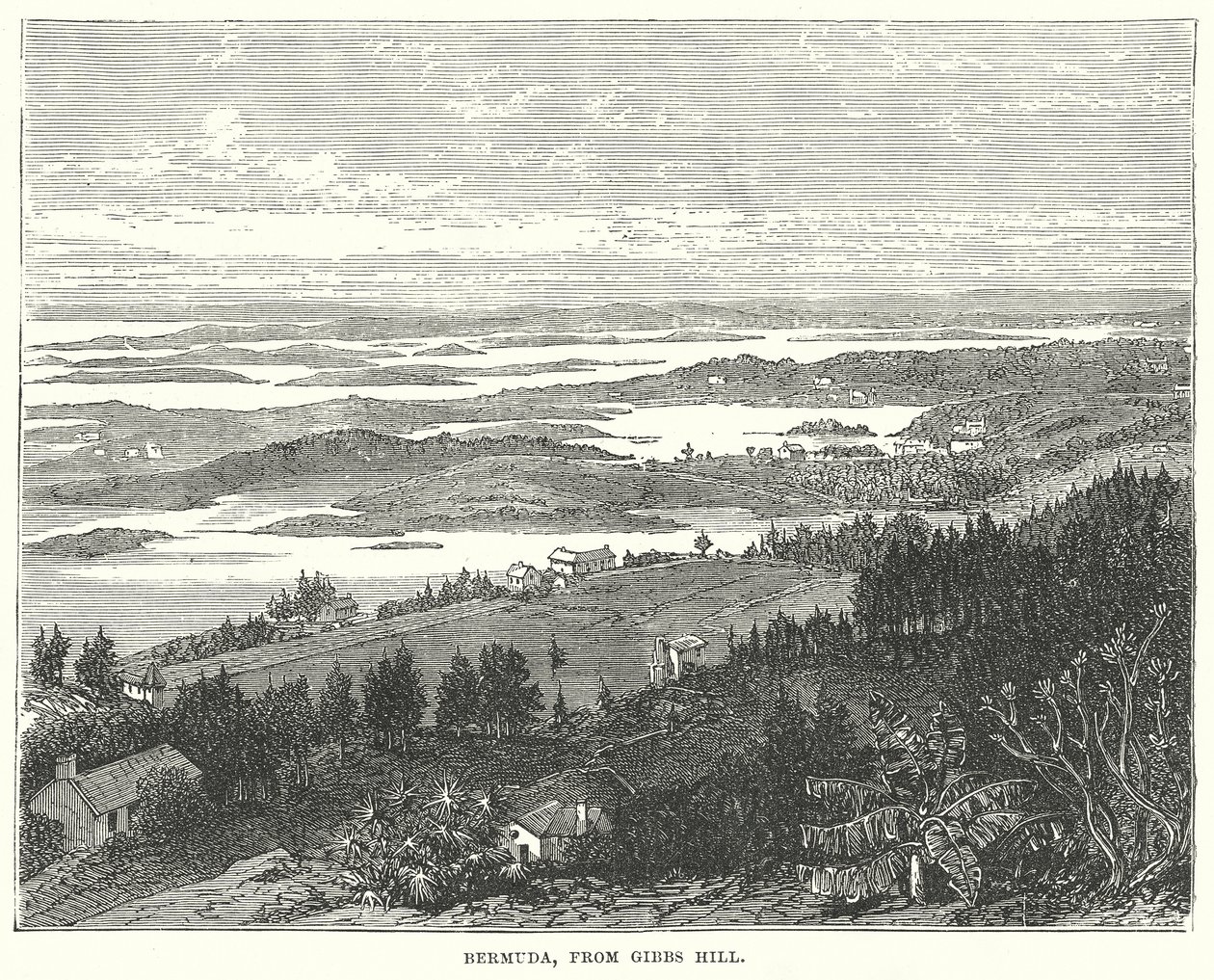 Bermuda, Gibbs Hill felől (metszet) alkotó: English School