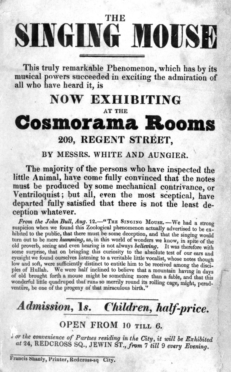 Bill Plakát Az éneklő egér kiállításhoz a Cosmorama Roomsban, Regent Street 209, c. 1836 alkotó: English School