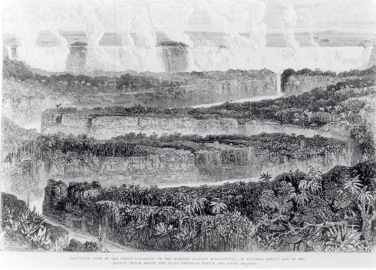 Madártávlat a zambesi nagy szürkehályogról (Victoria-vízesés) a Zambesi és mellékfolyói című kiállítás elbeszéléséből, 1865-ben alkotó: English School