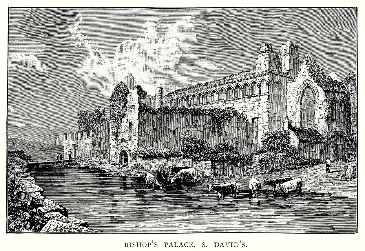 Püspöki palota, S David