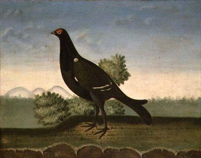 Fekete nyírfajd (olaj, vászon) alkotó: English School