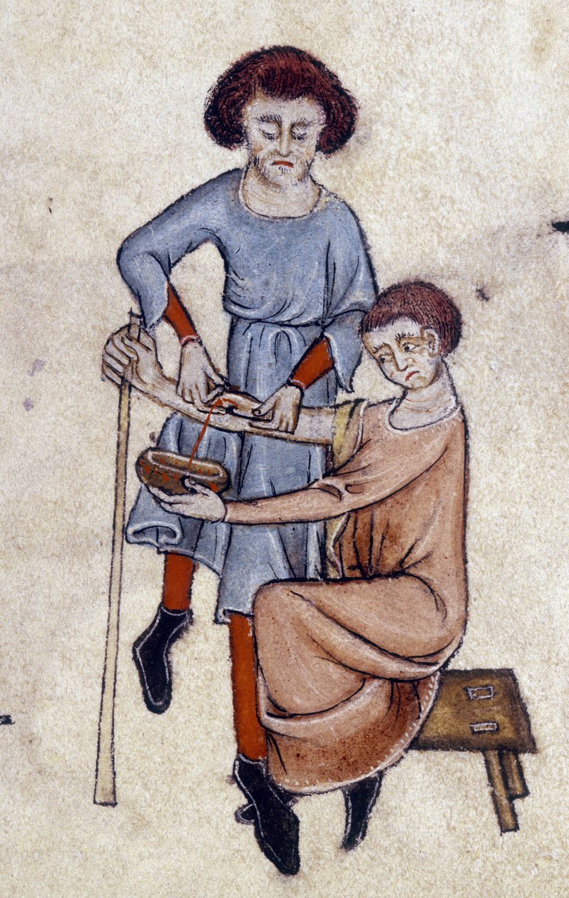 Vérengedés, a Luttrell Zsoltárból, 1325-35 körül (vellum) alkotó: English School