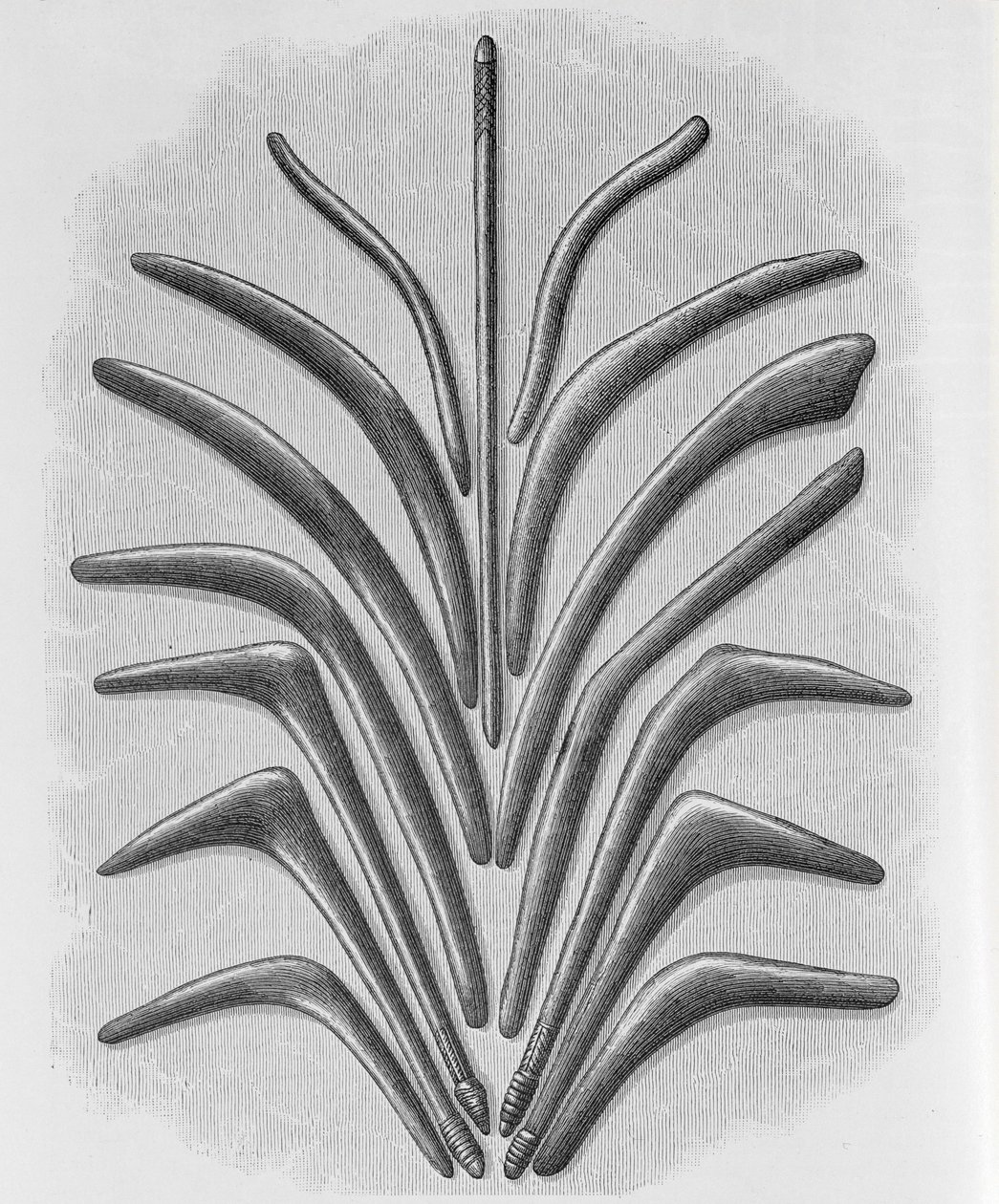 Bumeráng és bumeráng alakú ütők, Friedrich Ratzel professzor „The History of Mankind” 1. kötetéből, 1896 alkotó: English School