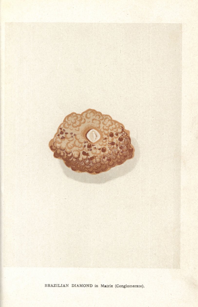 Brazil gyémánt mátrixban (konglomerátum), Edwin Streeter "Precious Stones and Gems" című művéből, London, George Bell & Sons alkotó: English School