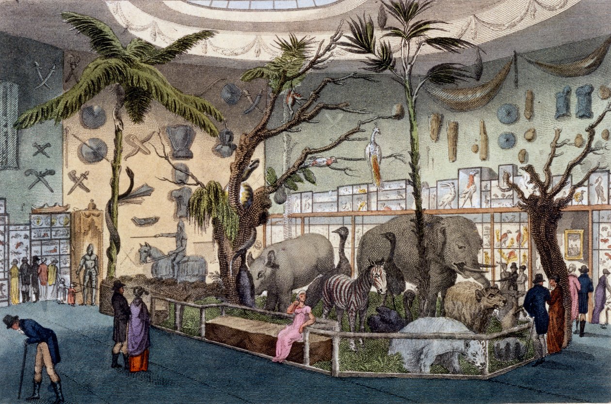 Bullocks Museum, 22 Piccadilly, London, Ackermanns Repository of Arts, 1809 alkotó: English School