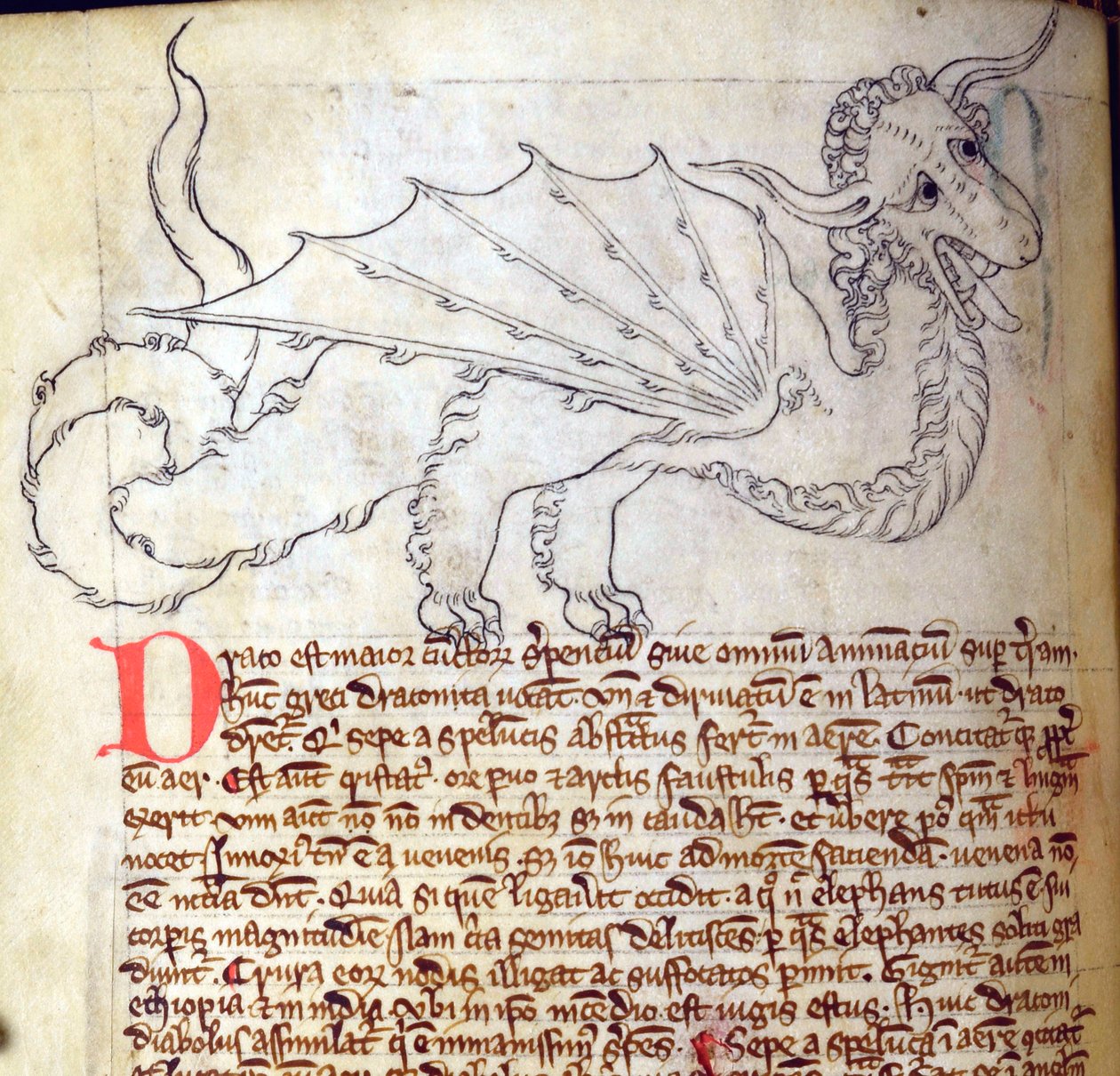 CCA-LitMs/D/10 fol. 24v Dragon, a Bestiary-től alkotó: English School