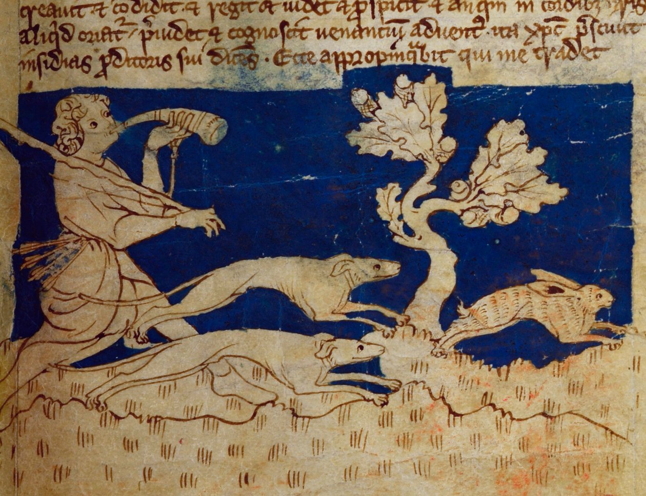 CCA-LitMs/D/10 fol. 2r Vadászjelenet, a Bestiaryból alkotó: English School