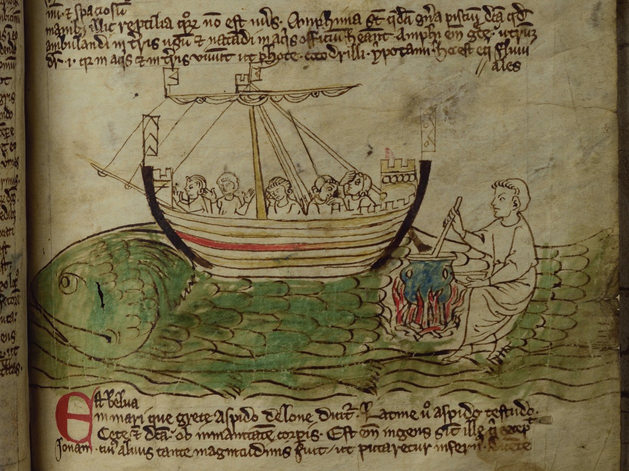 CCA-LitMs/D/10 fol. 30r Whale, a Bestiaryból alkotó: English School