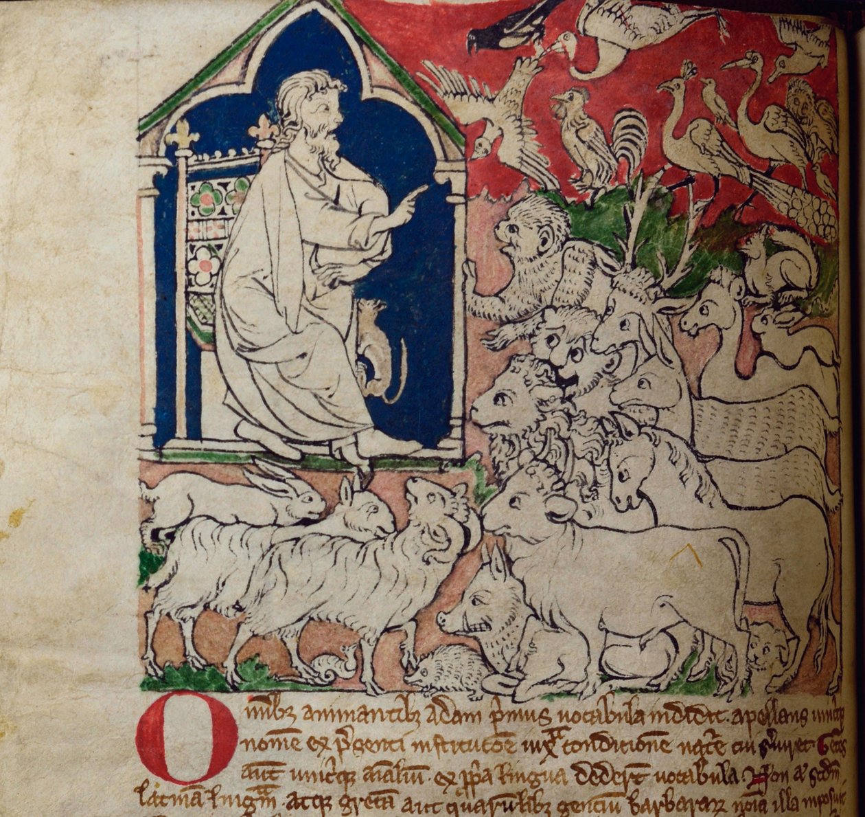 CCA-LitMs/D/10 fol. 7v Adam, a Bestiáriumból alkotó: English School