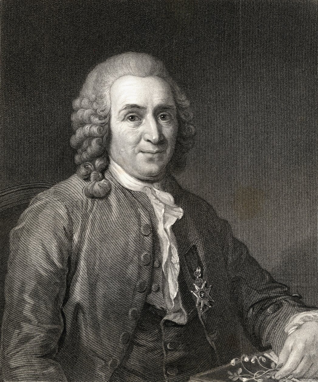 Carl von Linne vagy Linné (1707-78) a Portré Galériából, 1833-ban alkotó: English School
