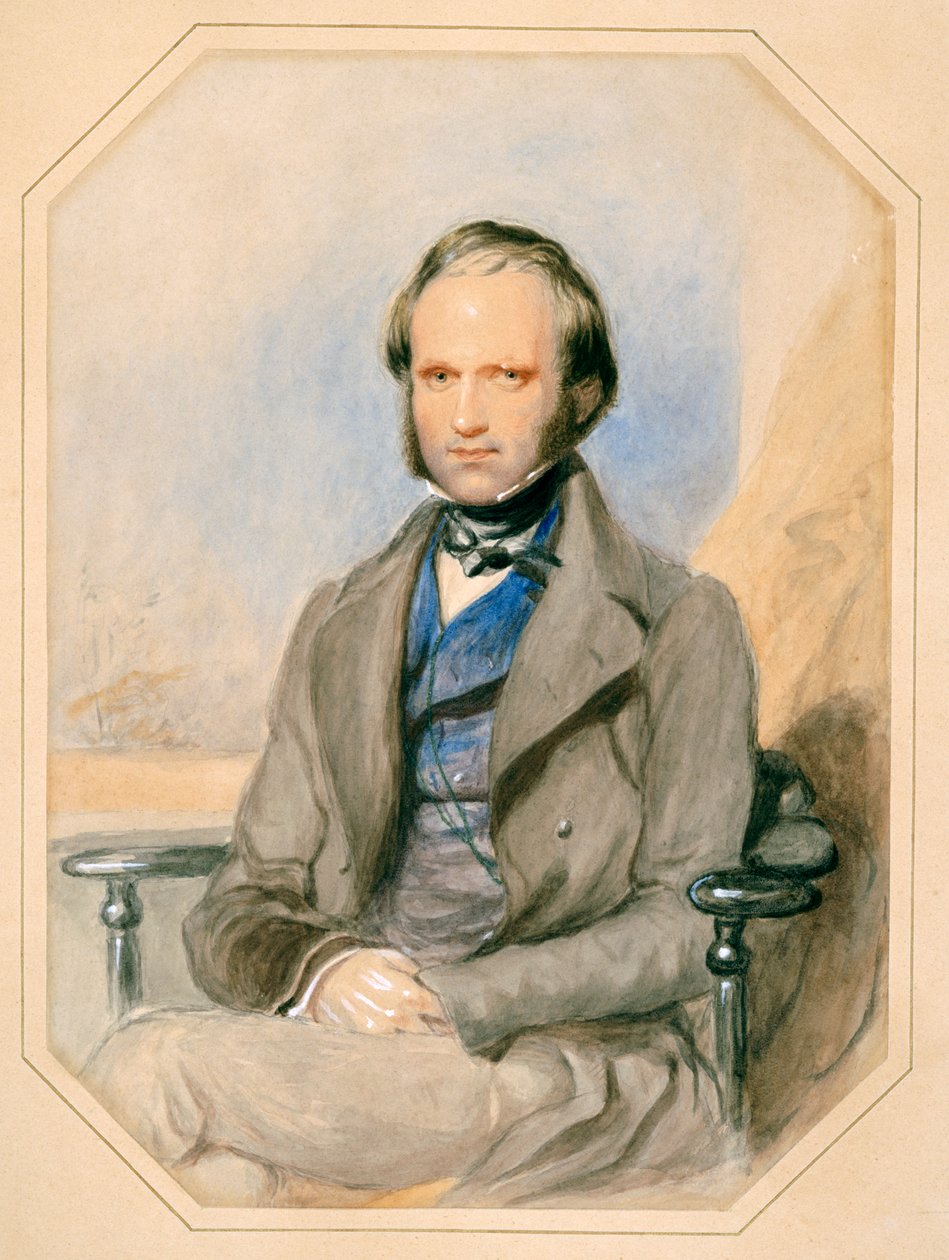 Charles Darwin (akvarell papíron) alkotó: English School