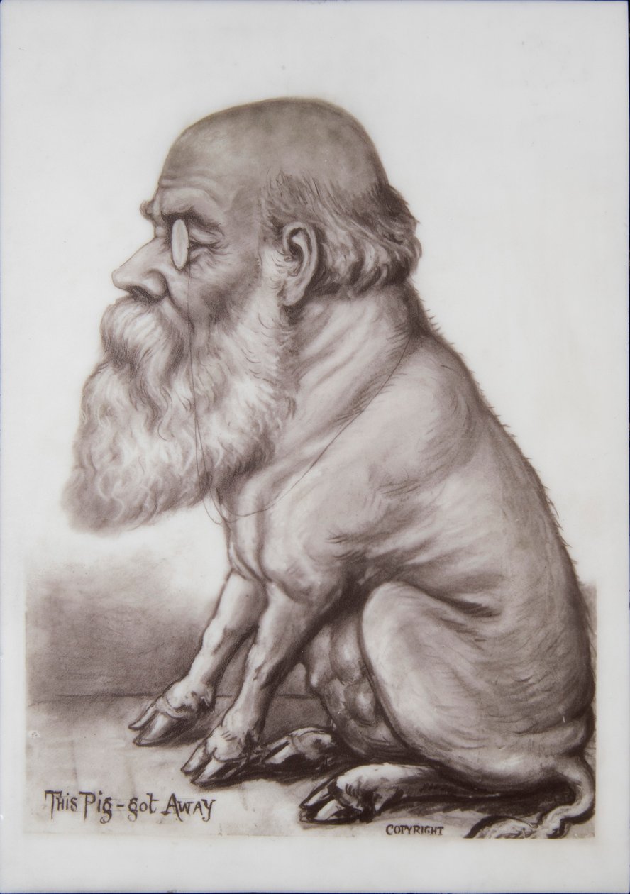 Charles Darwin emléktábla, 1870 körüli (kerámia) alkotó: English School