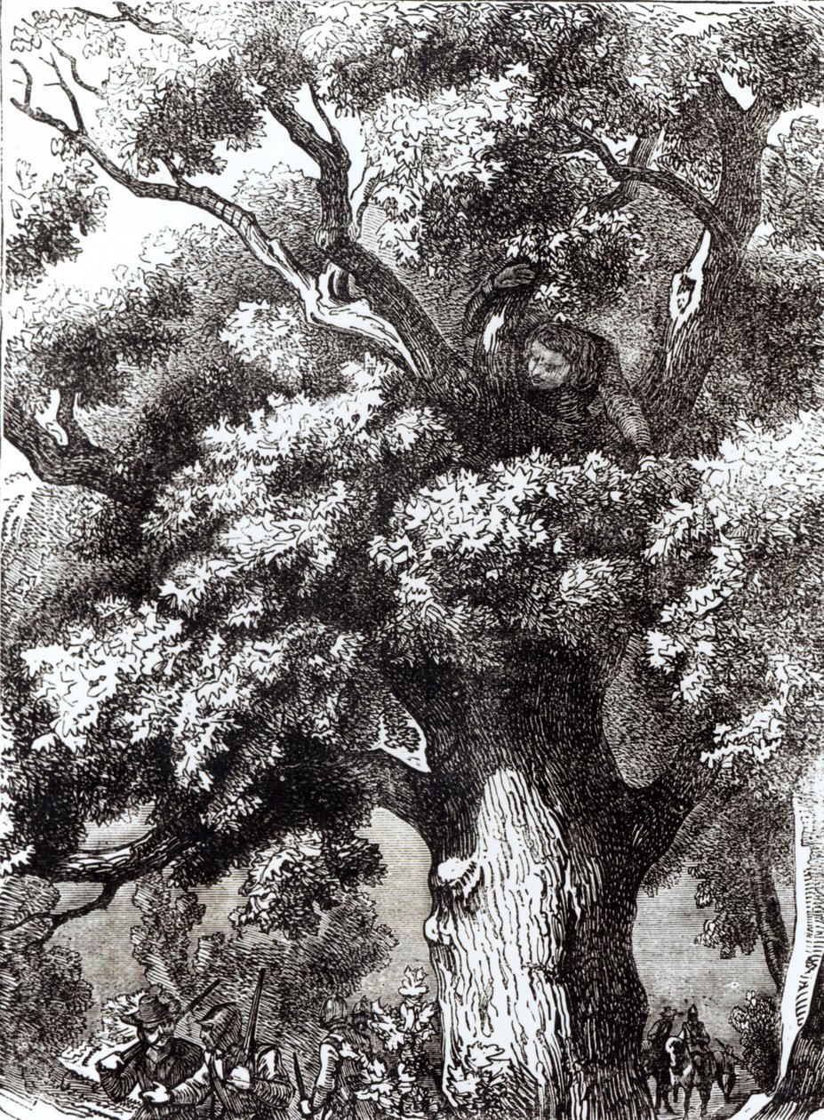 II. Károly (1630-85) Elrejtve a tölgyfában, 1651. október 14. alkotó: English School