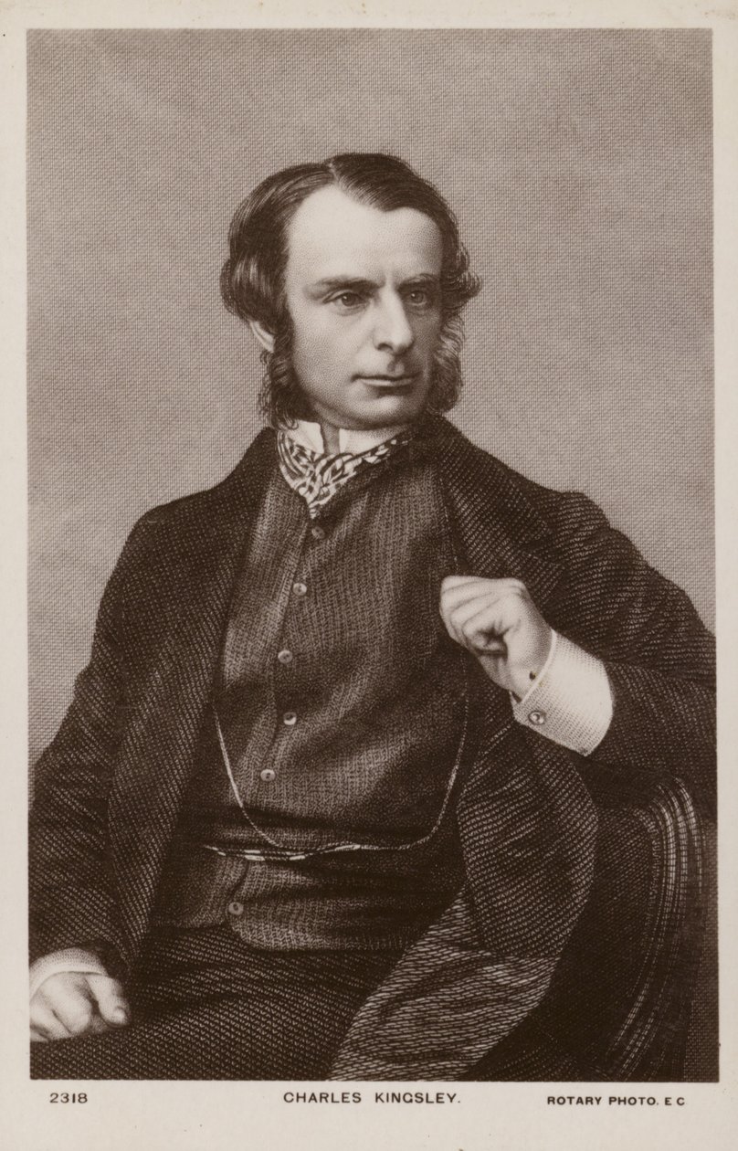 Charles Kingsley (1819-1875), angol lelkész, történész és regényíró (litho) alkotó: English School