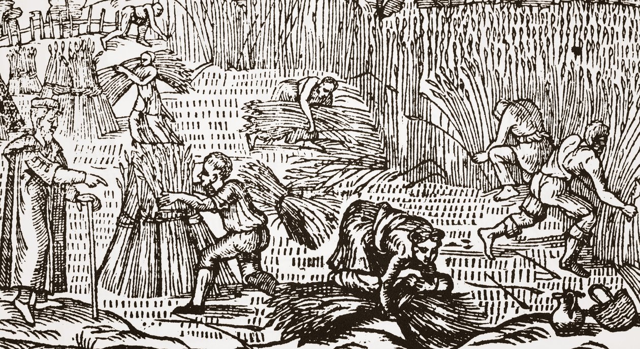 A betakarítást bemutató kortárs fametszet alkotó: English School