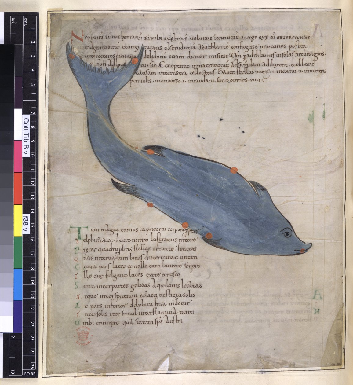 Cotton Tiberius B. V, I. ​​rész fol.38v Delphinus csillagkép a 