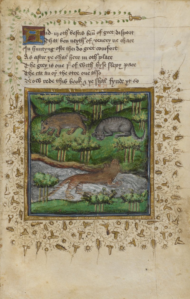 Cotton Vespasianus B. XII, f.4 Borz, vadmacska és vidra illusztrációja; verssel, William Twety és John Gyfford „Treatise on Hunting” című könyvéből, 1440 körül (vellum) alkotó: English School
