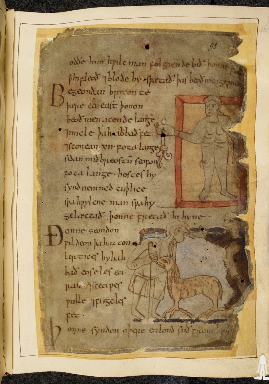 Cotton Vitellius A. XV, f.102, Meztelen férfi, kezében egy növény; két férfi beszélget, és köztük egy lertix, egy birkaszerű vadállat, illusztráció Beowulfból, a „Nowell Codex”-ből (tinta pergamenre) alkotó: English School