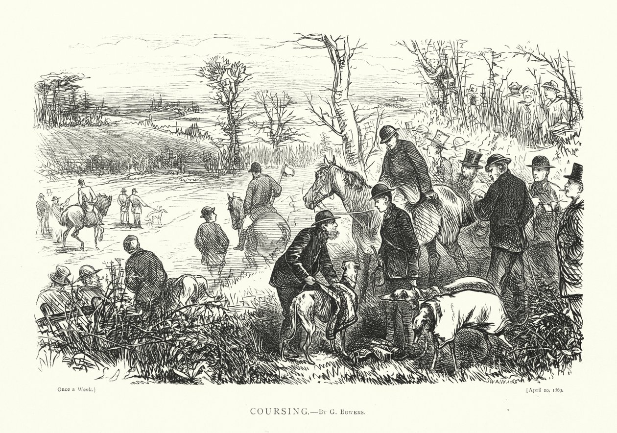 Coursing (vésés) alkotó: English School