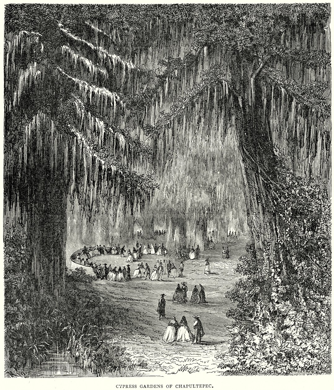 Chapultepec ciprus kertjei (metszet) alkotó: English School
