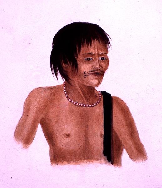 Demerara (akvarell papíron) alkotó: English School