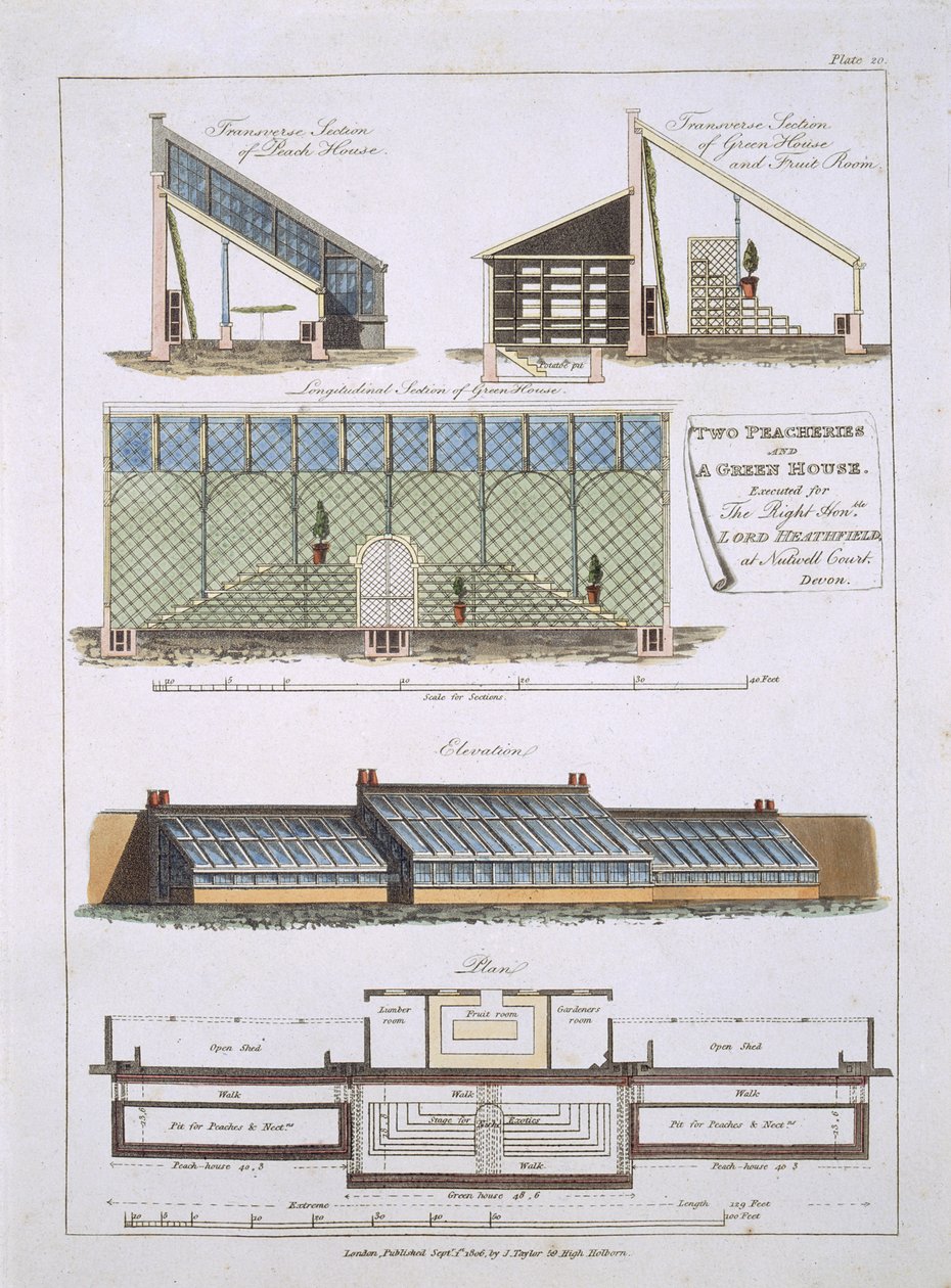 Tervezés két őszibarackhoz és egy zöld házhoz, 1806 alkotó: English School