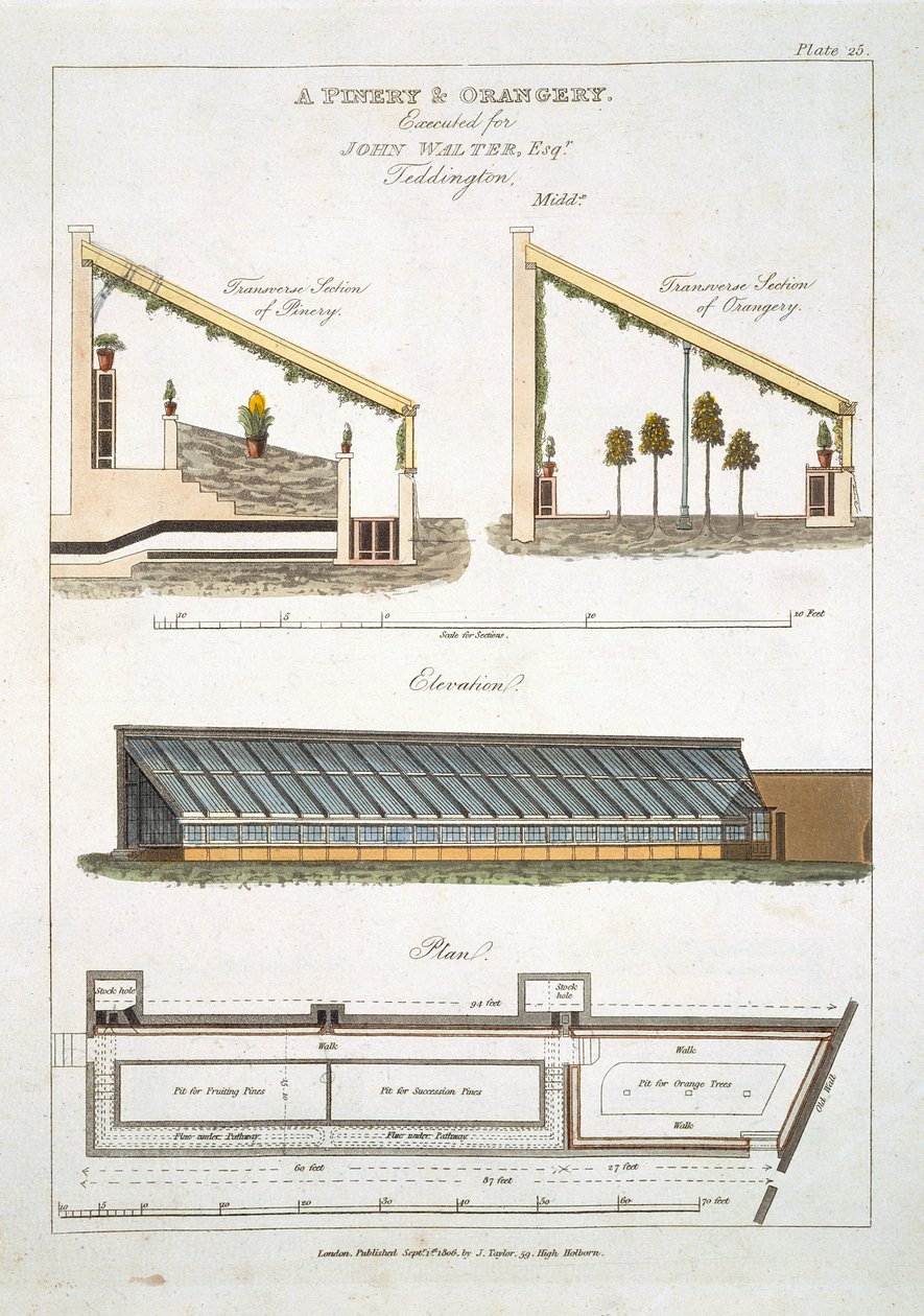 Fenyő- és narancsház terve Teddingtonban, 1806 alkotó: English School