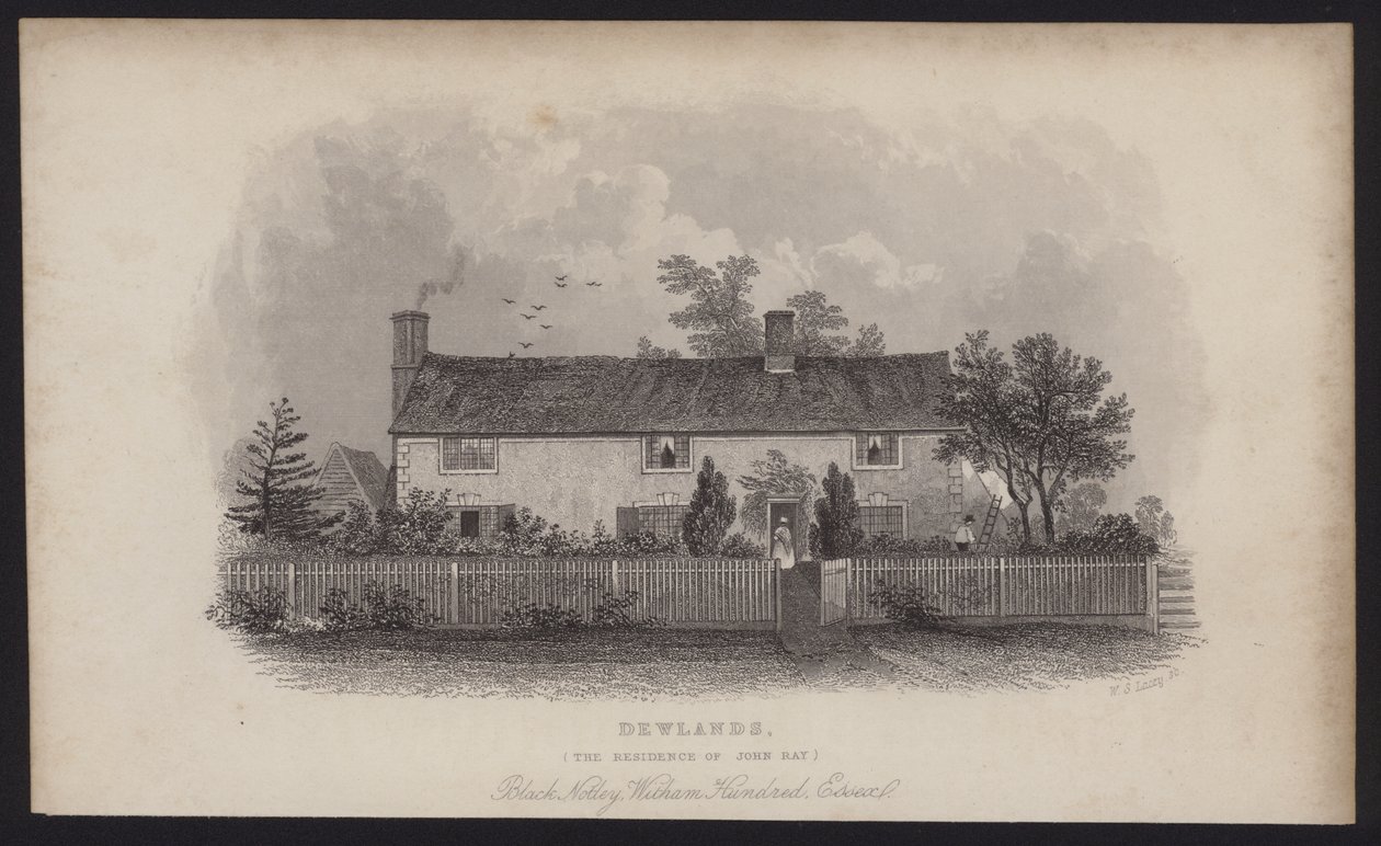 Dewlands, John Ray lakóhelye, Black Notley, Witham Hundred, Essex (metszet) alkotó: English School