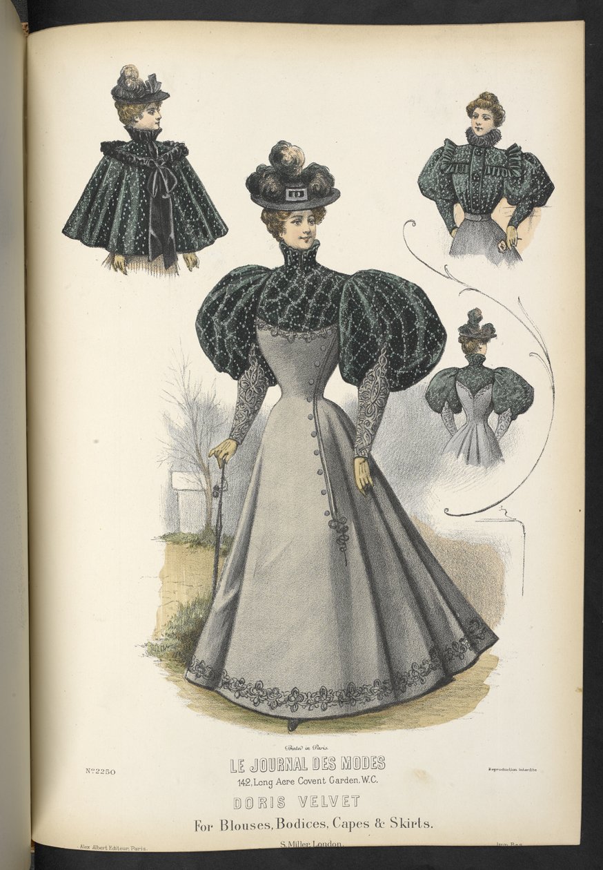 Doris bársony, Blúzokhoz, míderekhez, köpenyekhez és szoknyákhoz,  Plate 2250, Doris bársony blúzokhoz, míderekhez, köpenyekhez és szoknyákhoz,  A varrónő és a varrónő,  1895 alkotó: English School