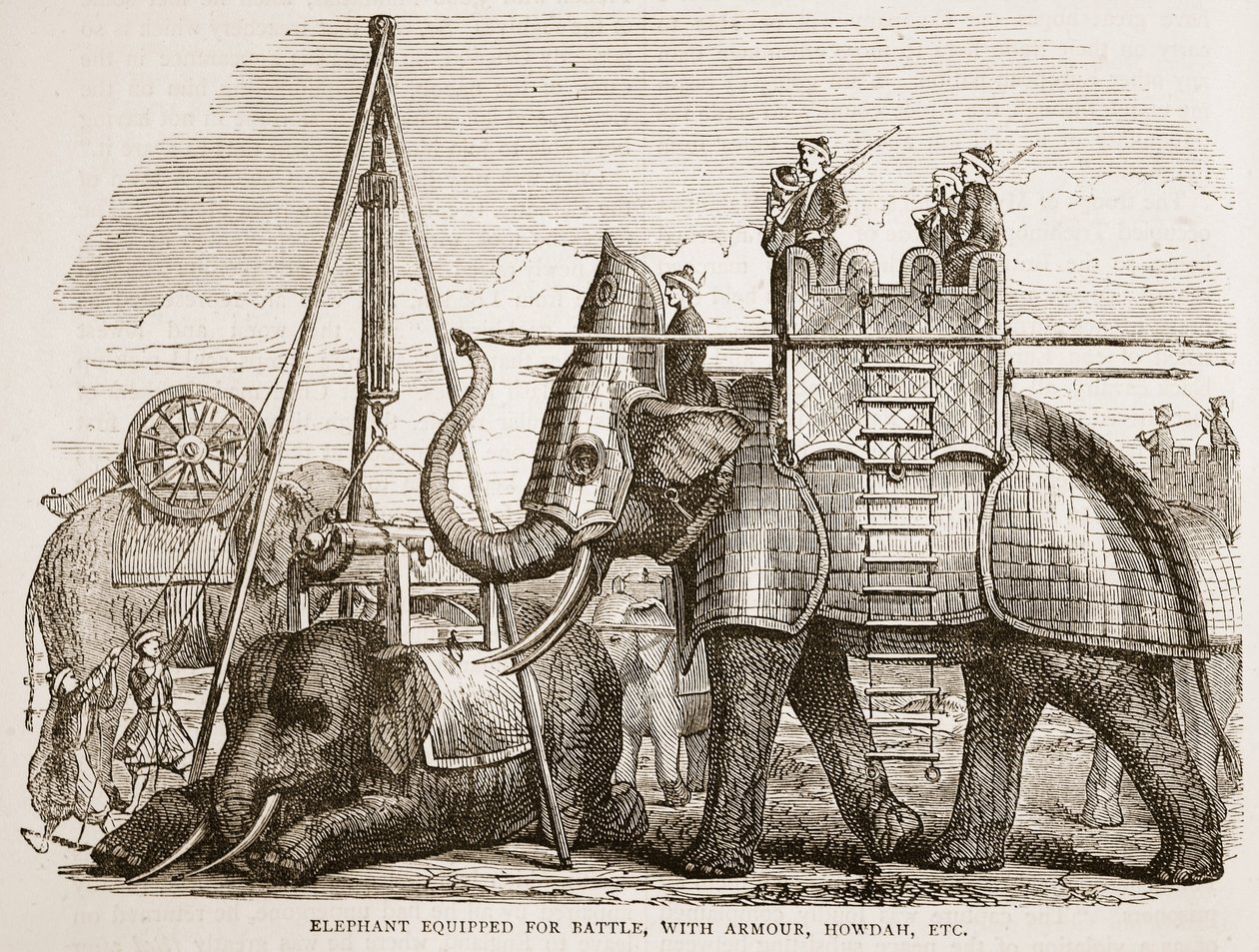 Csatára felszerelkezett elefánt, páncélzattal, howdah-val stb., illusztráció a Cassells Illustrated History of India-ból, James Grant, pub. 1879 alkotó: English School