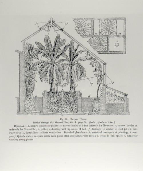 Üvegház magassága, John Wright „The Fruit Grower