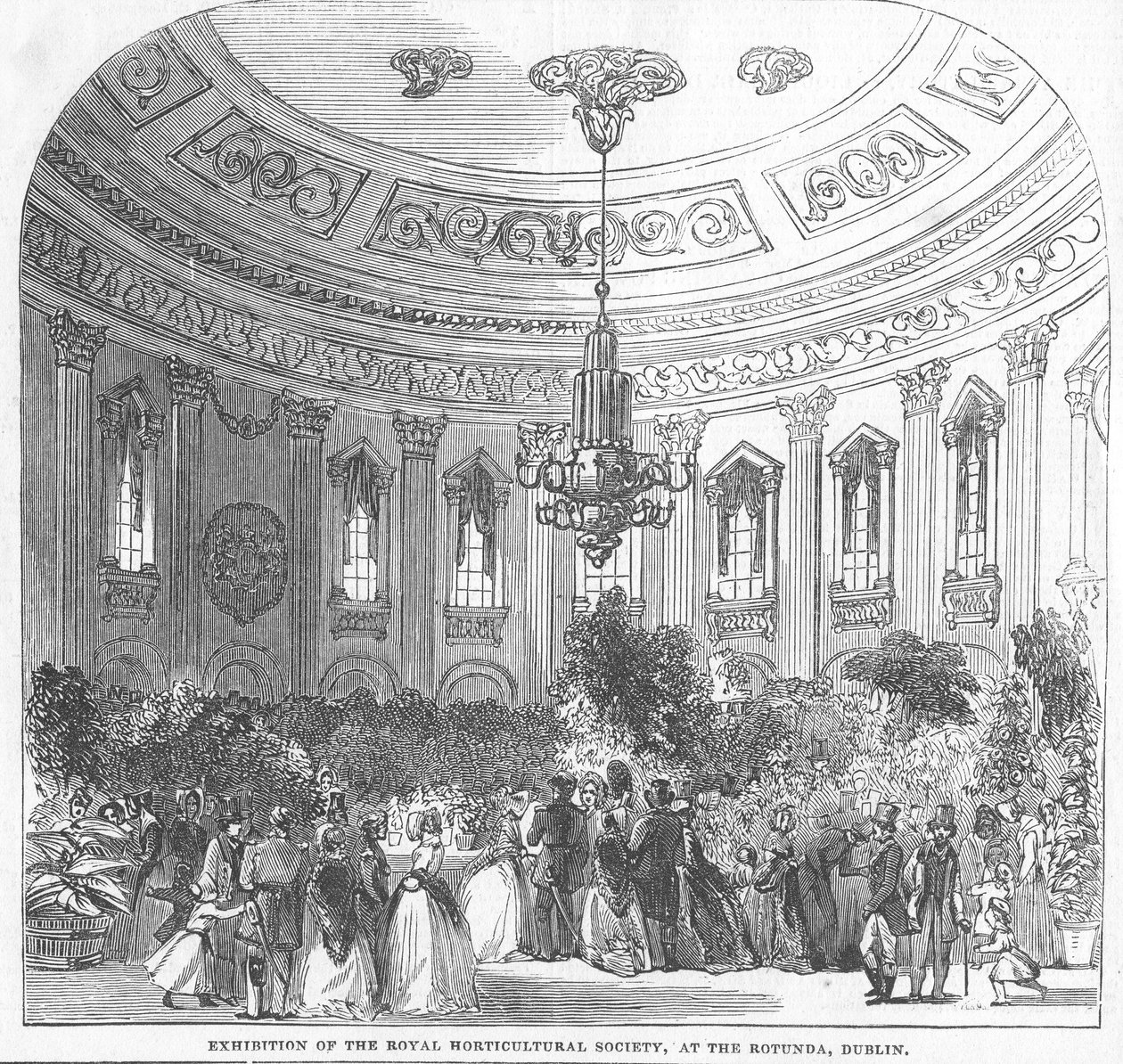 A Királyi Kertészeti Társaság kiállítása a Rotundában, Dublinban, illusztráció a „The Illustrated London News”-ból, 1854 alkotó: English School