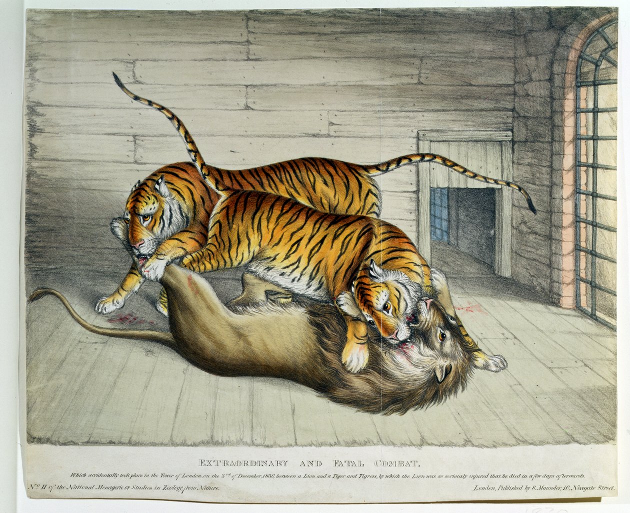 Rendkívüli és végzetes harc, 1830 (színes litó) alkotó: English School