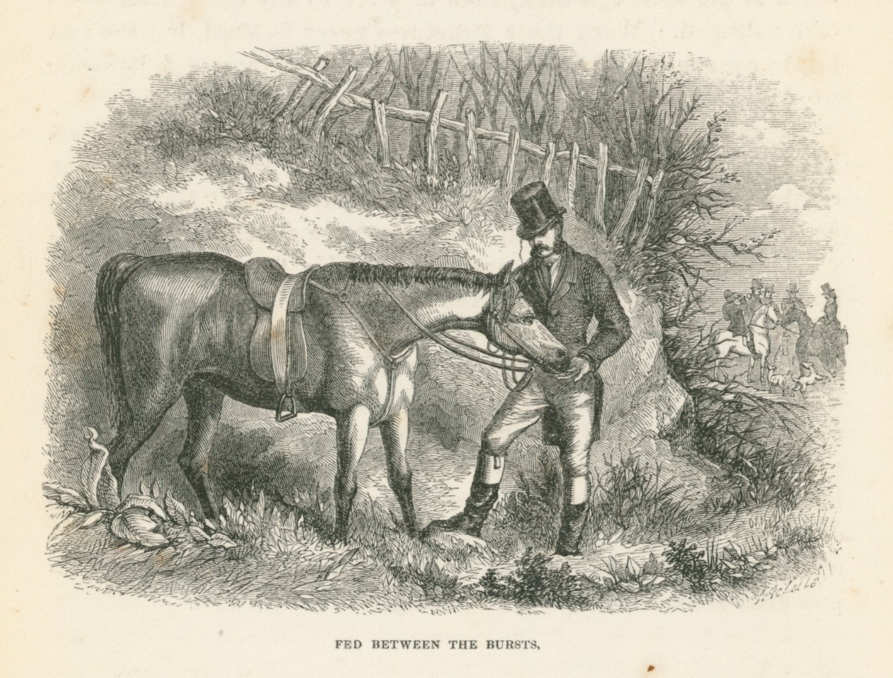 Fed Between the Bursts (vésés) alkotó: English School