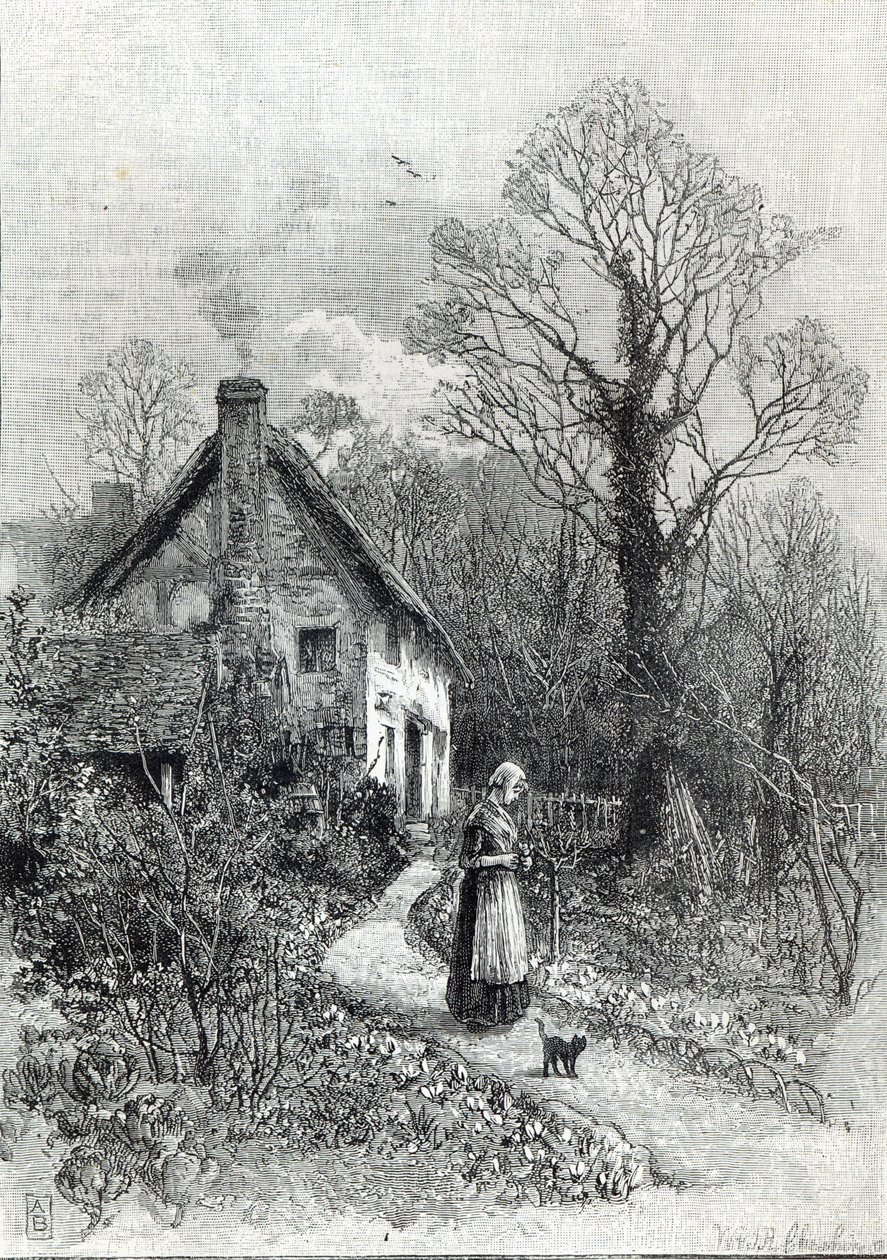 Első virágok, a Szabadidő órából, 1888 alkotó: English School
