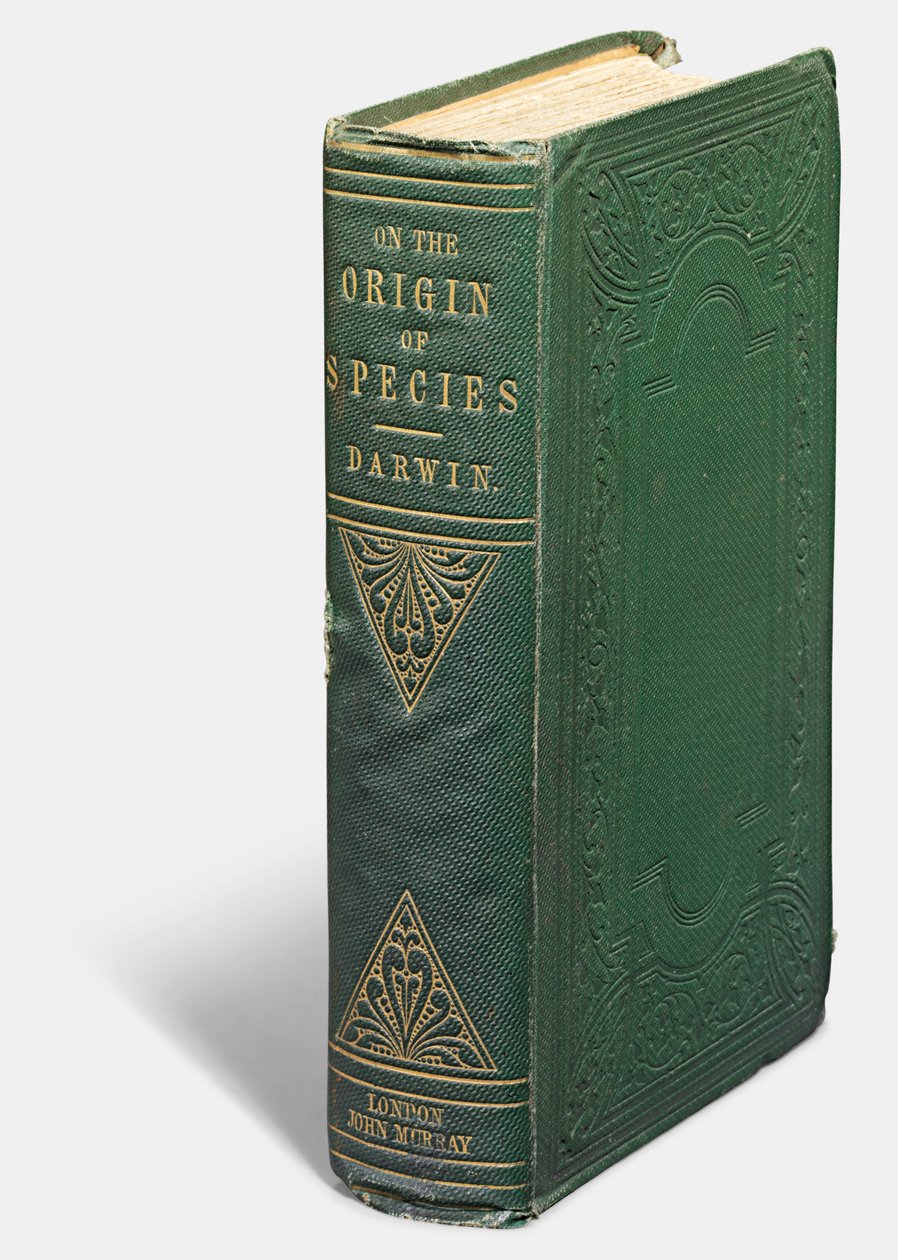 Charles Darwin, London: „A fajok eredetéről a természetes kiválasztódás eszközeivel” első kiadása: John Murray alkotó: English School