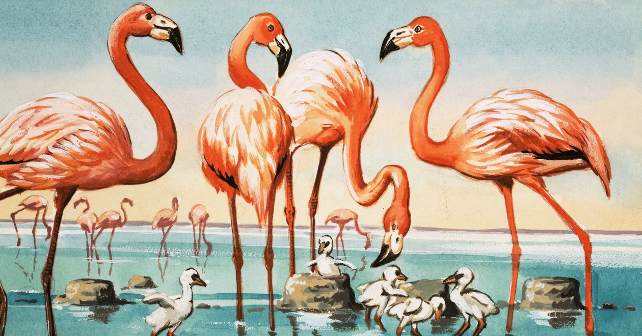 Flamingók alkotó: English School