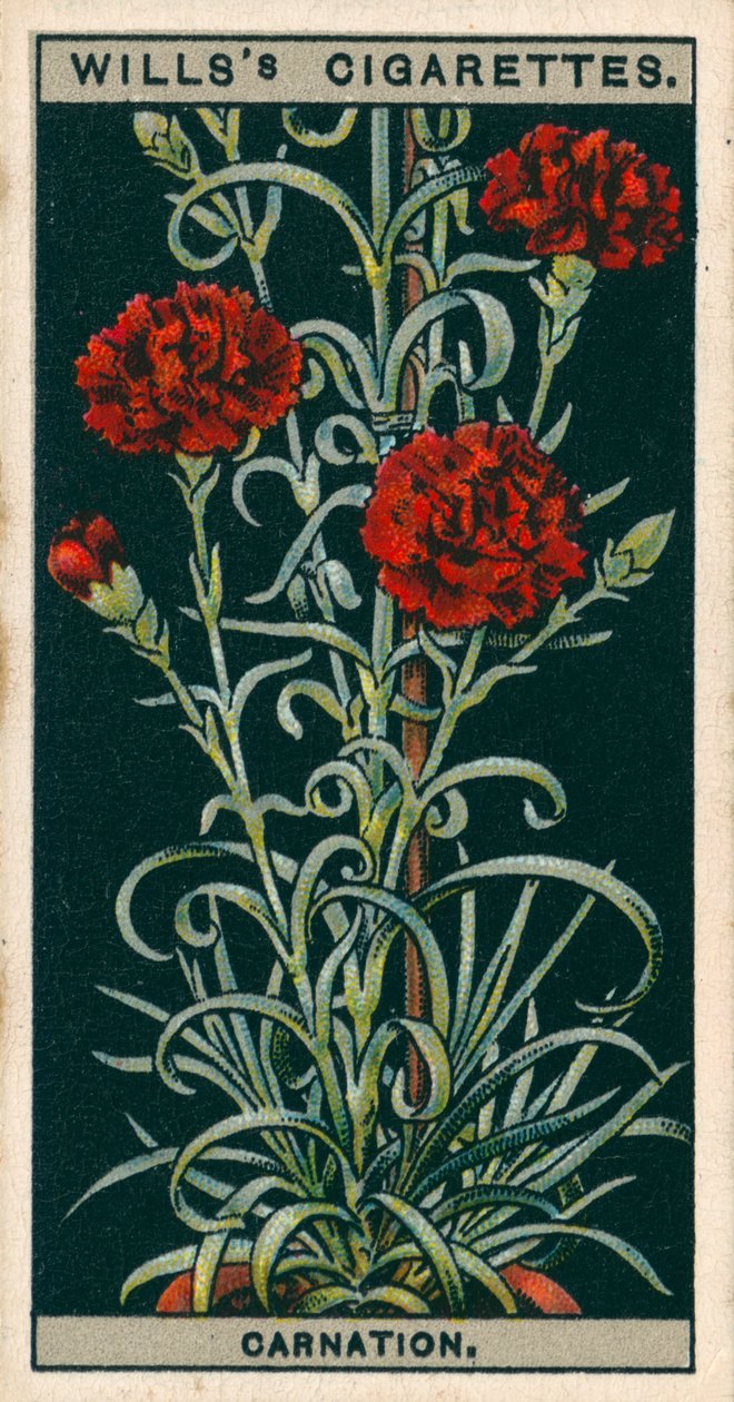 Virágkultúra cserépben: (chromolitho) alkotó: English School